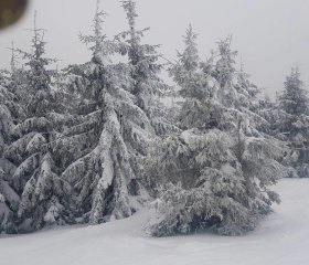 Chata nad Bystrzykiem - Apartament Karpacz