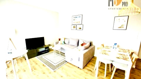 Comfort 6