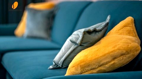 Comfort 5