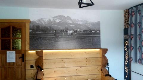 Dwupokojowe studio