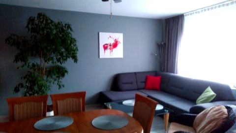Domotel LUX