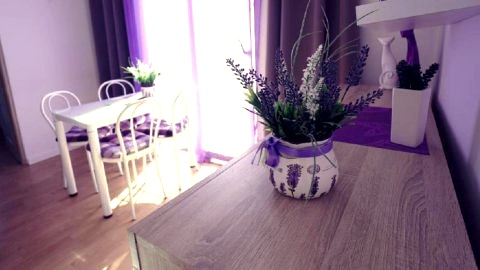 apartament Mateusz