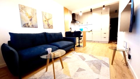 Apartament Lotnicza Staw
