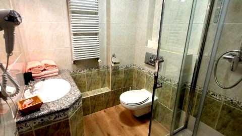 Pokój z dostępem do strefy Wellness(Basen, jacuzzi, bania, sauny)