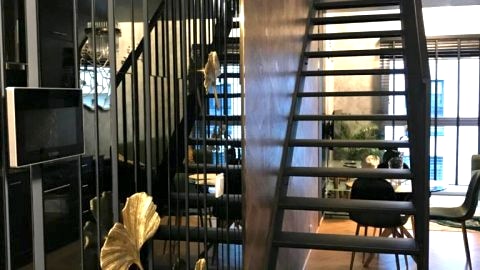 Apartament Gwiazda Renesansu