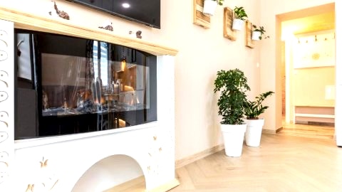 Apartament Bunia w Zakopanem z jacuzzi