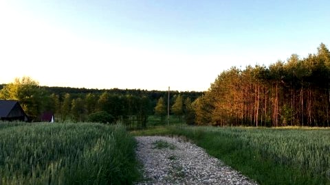 Siedlisko Barycz-Kolonia