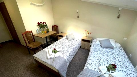 Pokój Dwuosobowy z 1 lub 2 łóżkami b59380208
