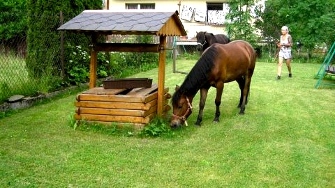 Domek z jacuzzi, idealny dla rodziny,blisko do lasu i szlaków górskich 