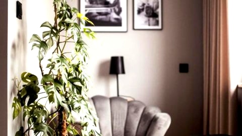 Boutique Hotel RABBIT HOLE