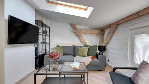 Lion Apartments - Modern 