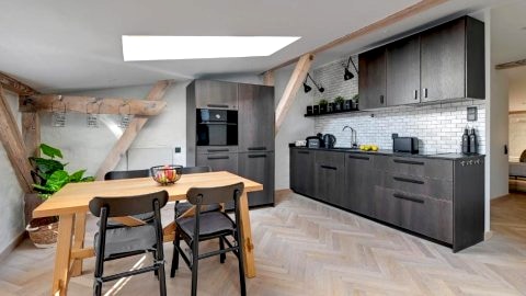 Lion Apartments - Modern 
