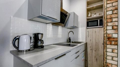 Lion Apartments - Haffnera 19