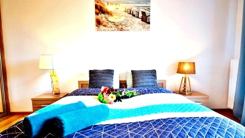 Apartament Nemo B2