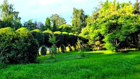 Apartament b1172756801