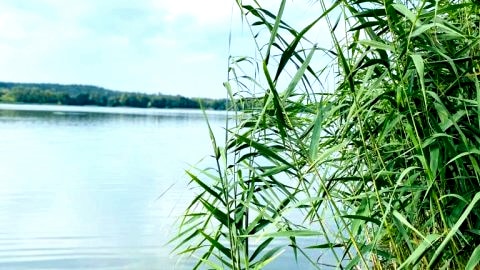 Korony Drzew - Apartamenty Mazury