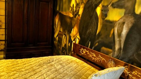 Apartament Deluxe z dwiema sypialniami 