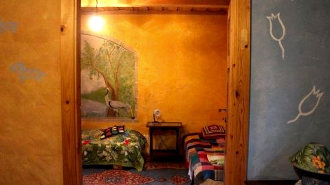 Apartament Pod tulipanem