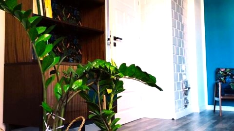 Apartament b482517803