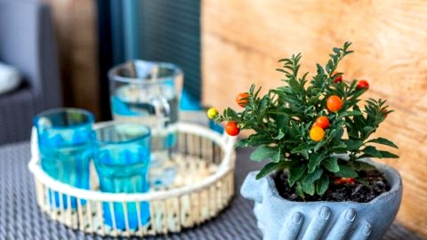 Apartament b849139201