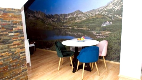 Apartament Sarnia Skała Kościelisko