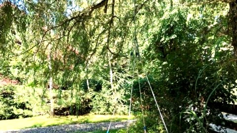 Apartament Nad Potokiem