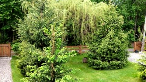 Apartament Nad Potokiem