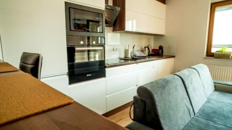 Apartment In The City Center