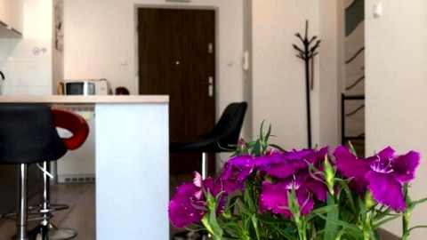 Kołobrzeg apartament Osiedle Bursztynowe ul baltycka 11 b