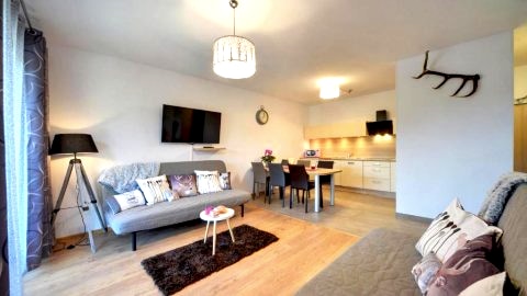Apartament Pod Jeleniem