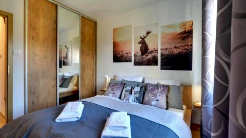 Apartament Pod Jeleniem
