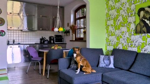 Apartament Z Zielonym Tarasem centrum