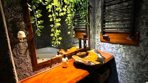Tropicana Jacuzzi Apartment