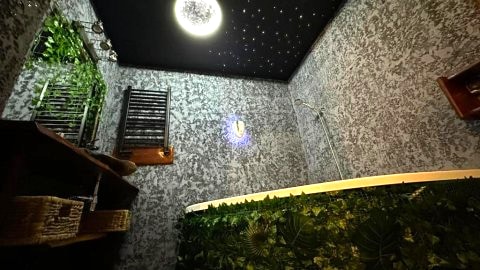 Tropicana Jacuzzi Apartment