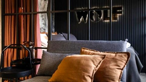 Apartament WOLF