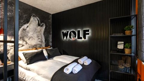 Apartament WOLF