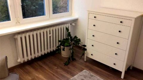 Przytulne, mieszkanie w centrum Łodzi