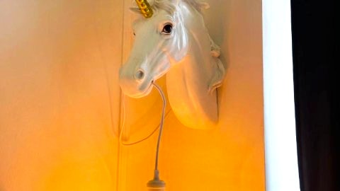 Unicorn Haven Apartament Przystań Jednorożca