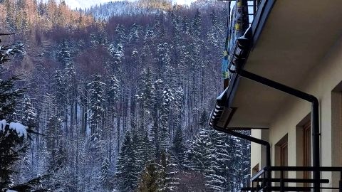  APARTAMENT CIEŃ GIEWONTU
