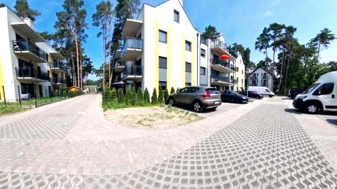 Apartament w sosnowym lesie