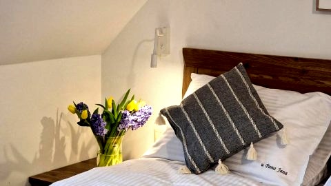 Apartament b973702801