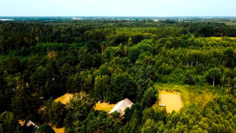 Domek w lesie, nocleg na Lubelszczyźnie