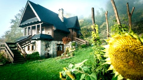 Rodzinny b243002401