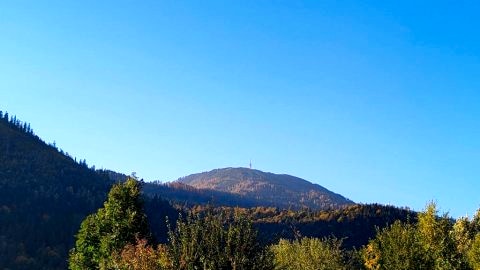 Apartament b781848701