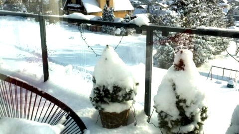 Apartament b917765301