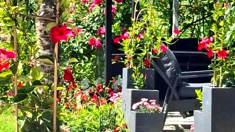 Apartament b1423239001