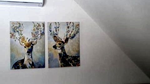 Apartamenty Homole Mansarda