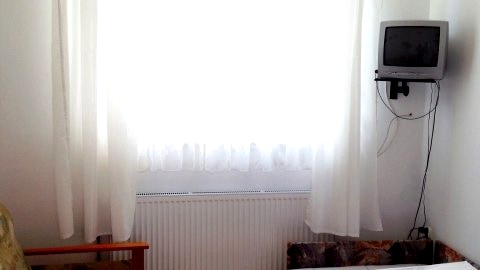 słoneczny