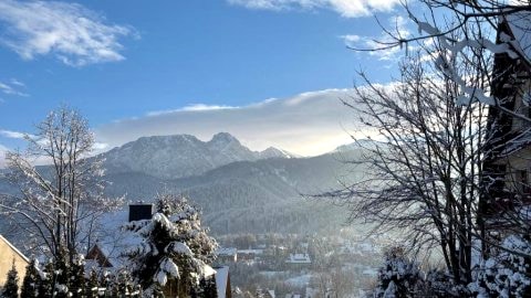 Apartament typu Suite b844641401