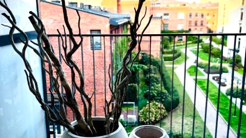 Apartament b1282572101